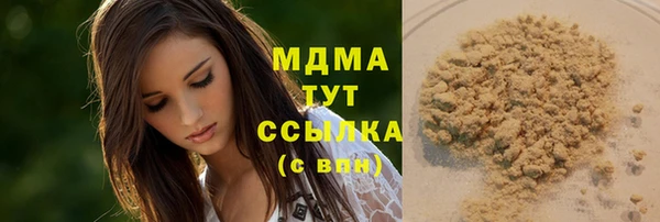 стафф Алексин