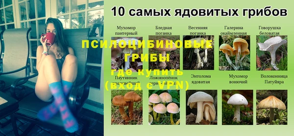 соль курить ск Алзамай