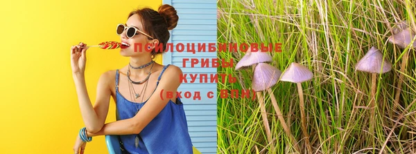 стафф Алексин